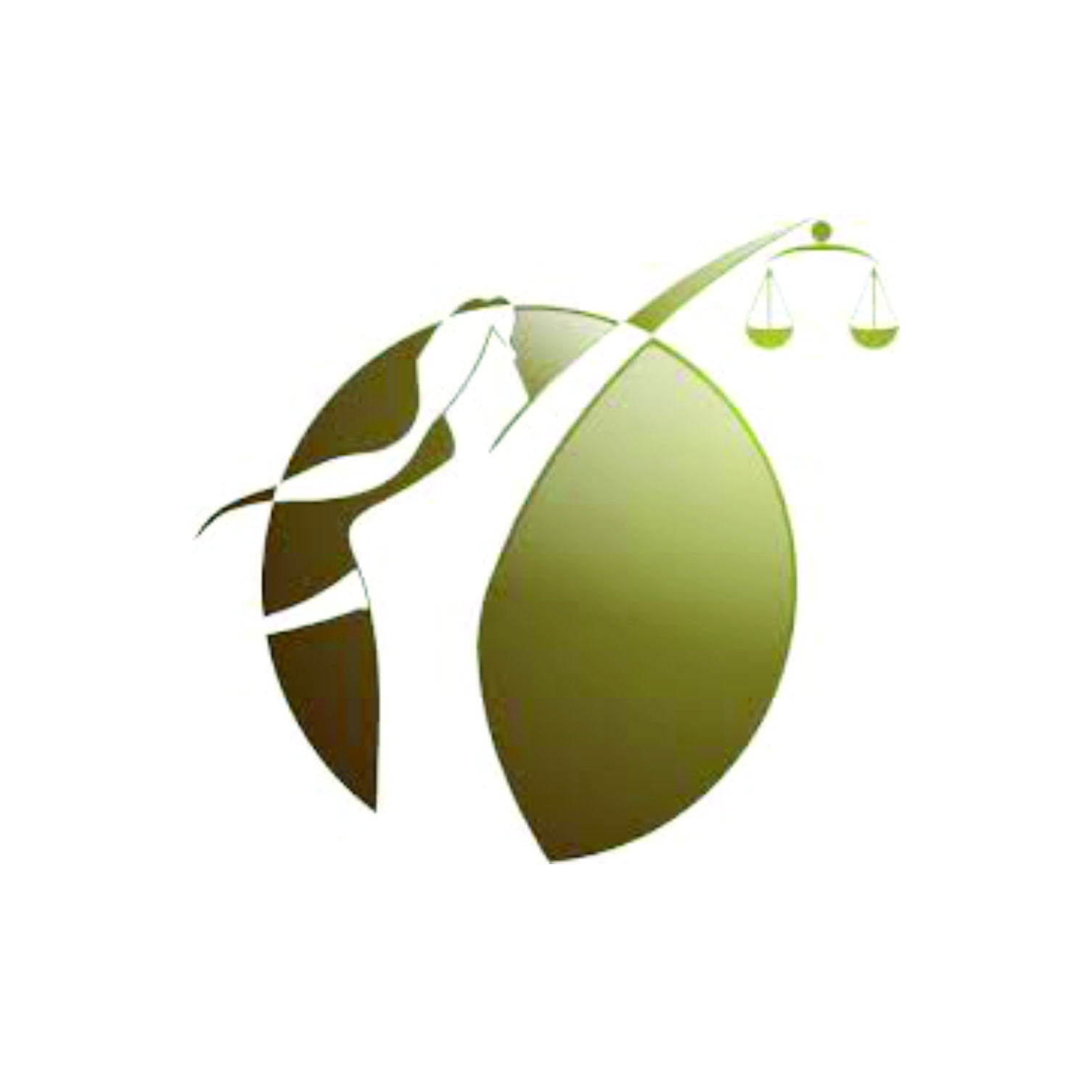 Dra Grace Kelly Pedroza Cimino - Foto 1