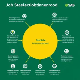 Processo Seletivo do SAS