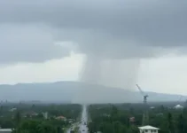 pancadas fortes e rápidas