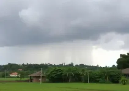 Últimas noticias de Barbacena