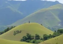 processo seletivo IF Sudeste MG Professor Substituto História
