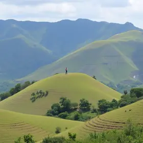 processo seletivo IF Sudeste MG Professor Substituto História