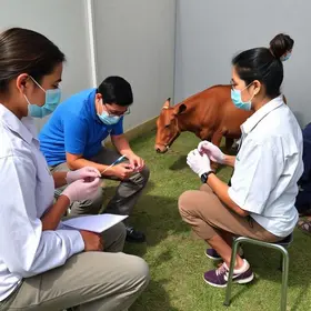 imunização para pessoas em situações especiais