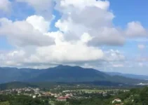 Barbacena