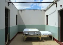 unidades psiquiátricas penais em MG