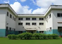 hospitais psiquiátricos penais
