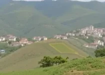 mudança de nome e gênero