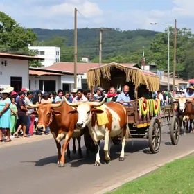 Festival de Carros de Boi de Ibertioga