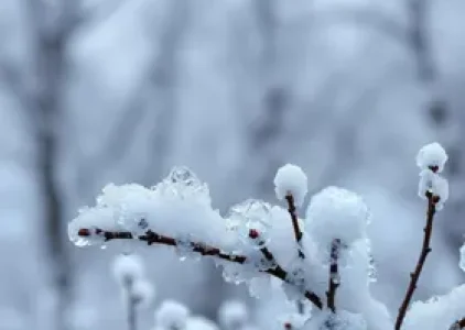 frio fora de época