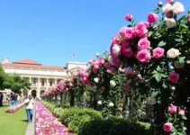Barbacena credencia decoradores e paisagistas para a Festa das Rosas