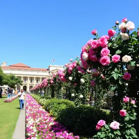 Barbacena credencia decoradores e paisagistas para a Festa das Rosas