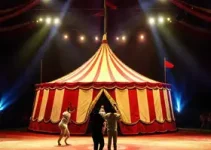 American Circus