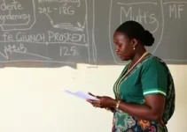 Formação de Professores de Moçambique