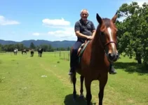 equoterapia gratuita em Barbacena