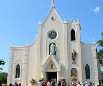 Trezena de São Francisco de Assis