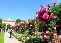 credenciamento para decoradores e paisagistas
