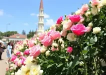 54ª Festa das Rosas e Flores de Barbacena