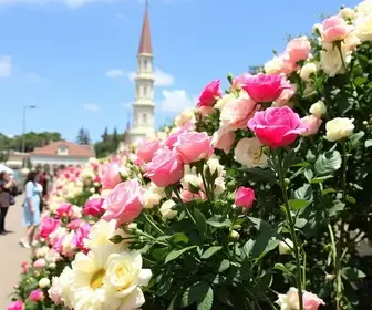 54ª Festa das Rosas e Flores de Barbacena