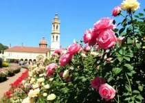 Festa das Rosas e Flores de Barbacena